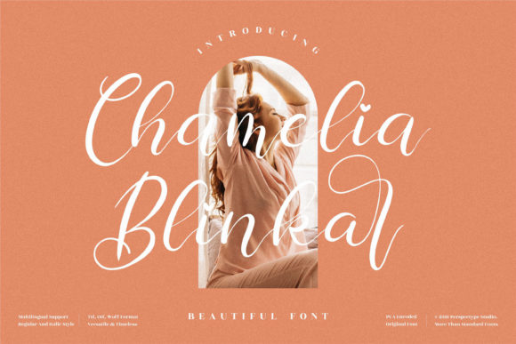 Chamelia Blinkar: A Handwritten Font That Brings Your Crafts to Life