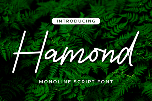 Hamond Font: A Handwritten Typeface for Digital Design Elegance